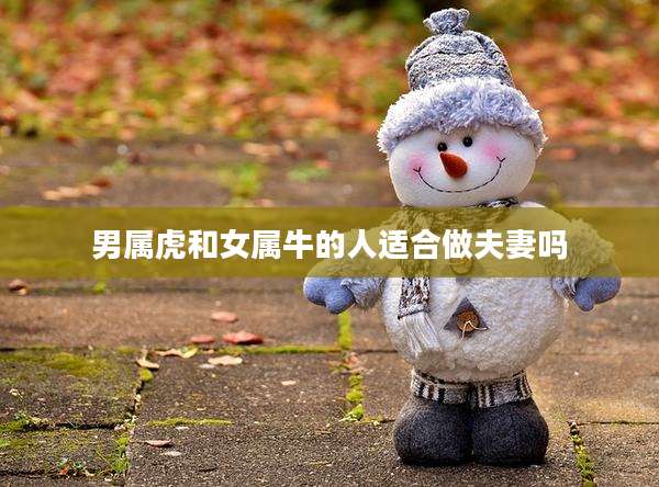 男属虎和女属牛的人适合做夫妻吗