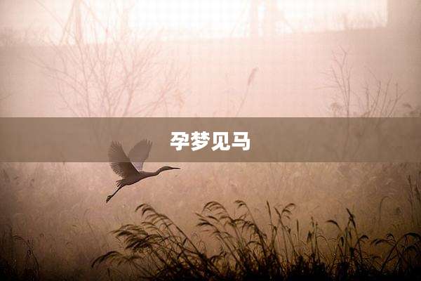 孕梦见马