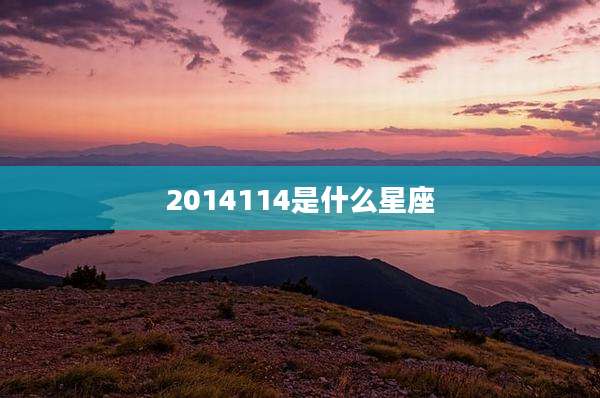 2014114是什么星座