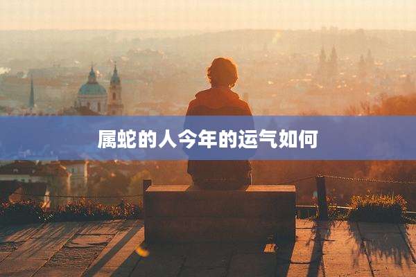 属蛇的人今年的运气如何