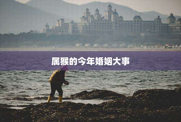 属猴的今年婚姻大事