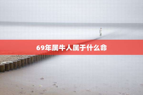 69年属牛人属于什么命