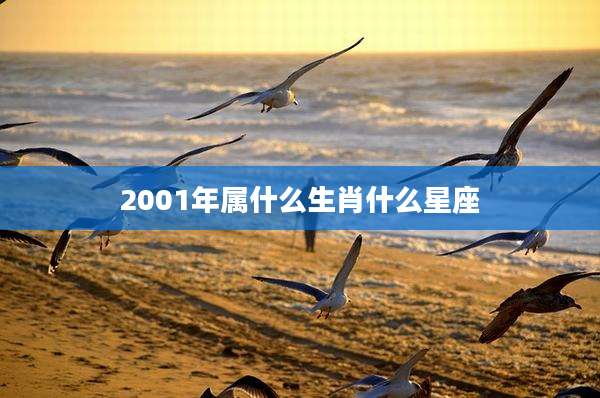 2001年属什么生肖什么星座