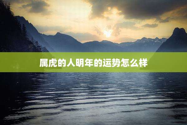 属虎的人明年的运势怎么样