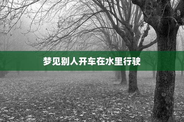 梦见别人开车在水里行驶