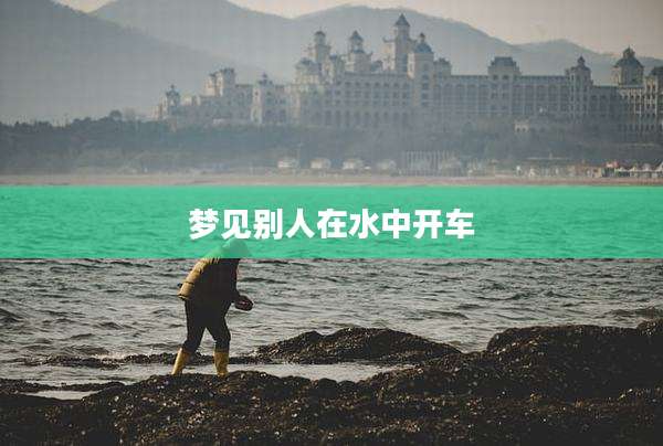 梦见别人在水中开车