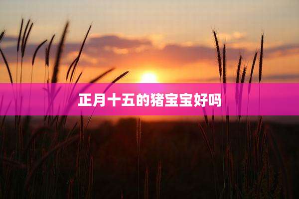 正月十五的猪宝宝好吗