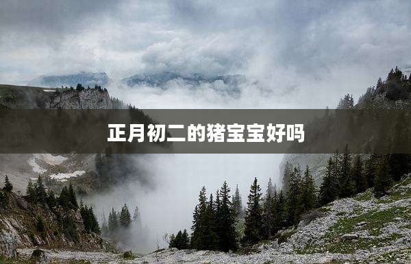 正月初二的猪宝宝好吗