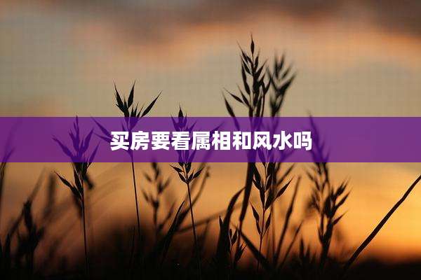 买房要看属相和风水吗