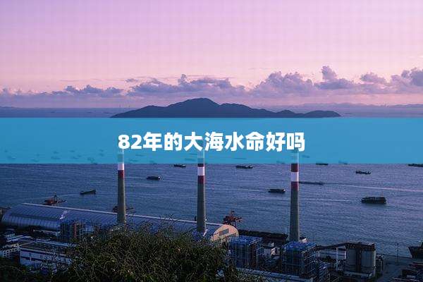 82年的大海水命好吗