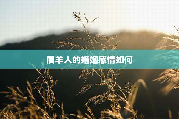 属羊人的婚姻感情如何