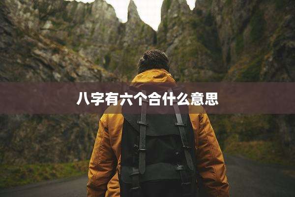 八字有六个合什么意思