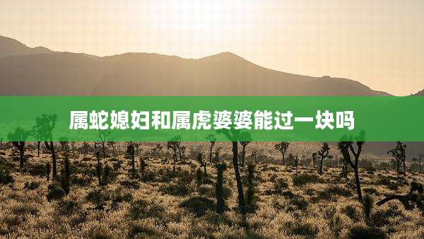 属蛇媳妇和属虎婆婆能过一块吗