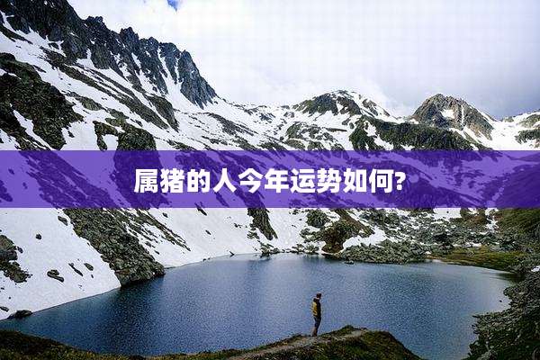 属猪的人今年运势如何?