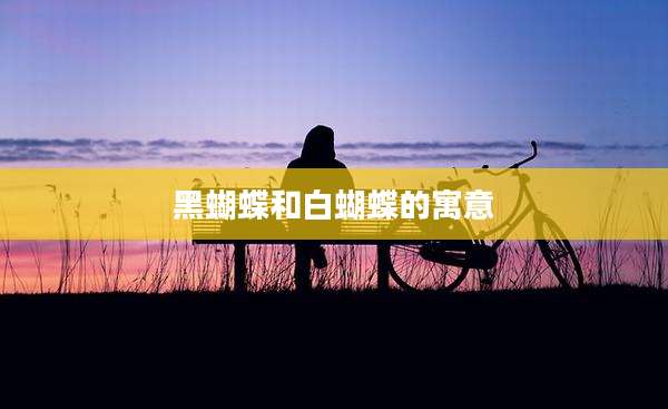 黑蝴蝶和白蝴蝶的寓意