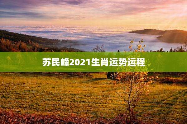 苏民峰2021生肖运势运程