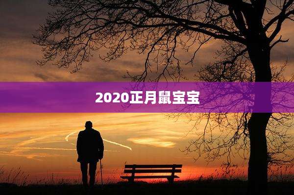 2020正月鼠宝宝
