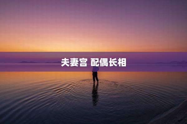 夫妻宫 配偶长相