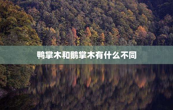 鸭掌木和鹅掌木有什么不同