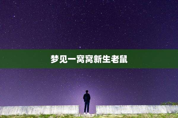 梦见一窝窝新生老鼠