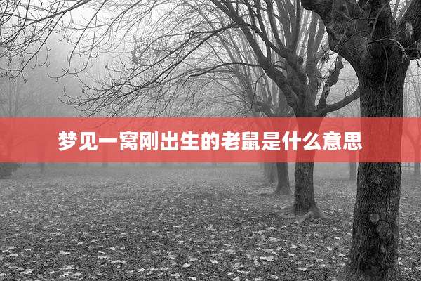 梦见一窝刚出生的老鼠是什么意思