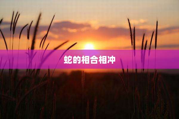 蛇的相合相冲