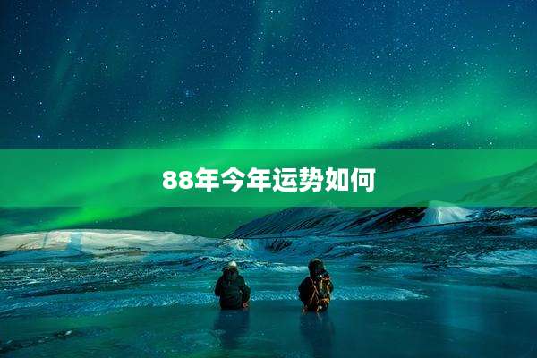 88年今年运势如何