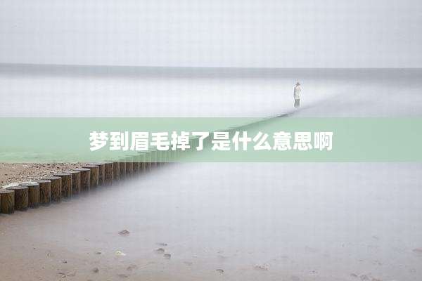 梦到眉毛掉了是什么意思啊