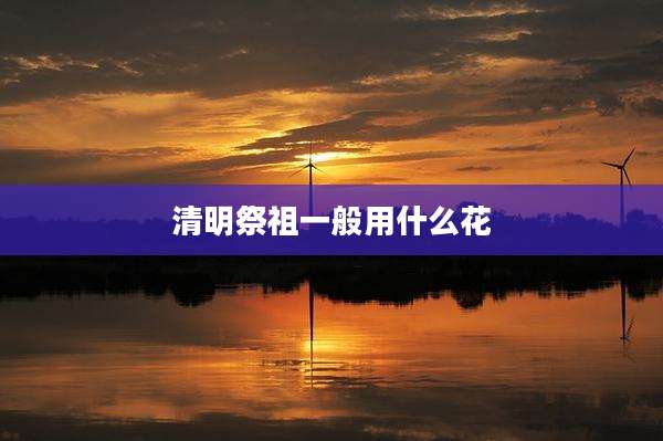 清明祭祖一般用什么花