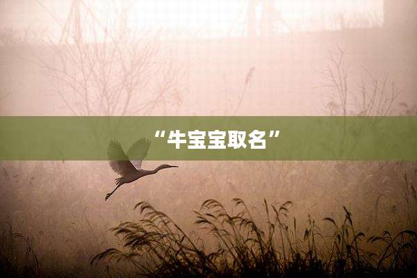 “牛宝宝取名”