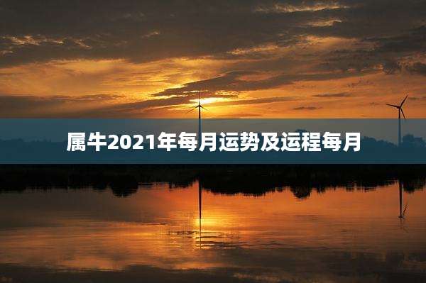 属牛2021年每月运势及运程每月