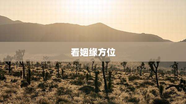 看姻缘方位