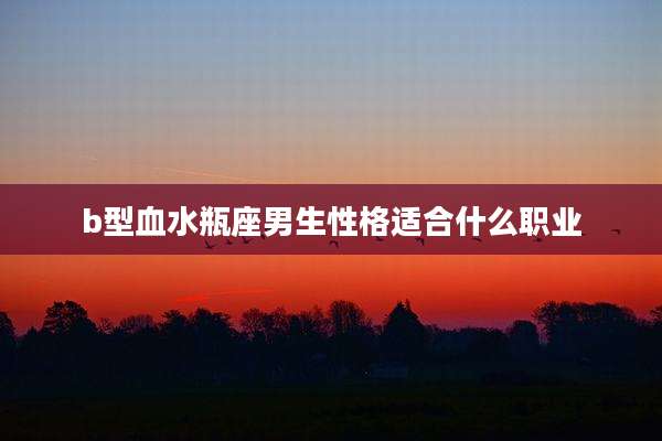 b型血水瓶座男生性格适合什么职业