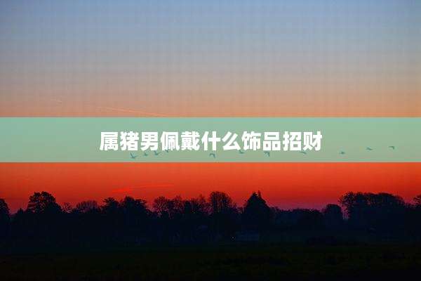 属猪男佩戴什么饰品招财