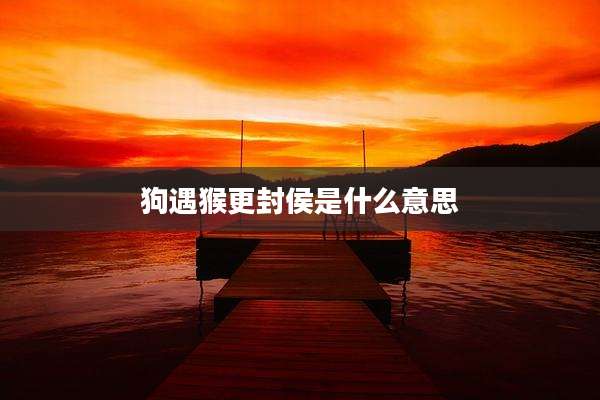 狗遇猴更封侯是什么意思