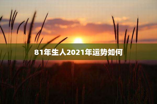 81年生人2021年运势如何