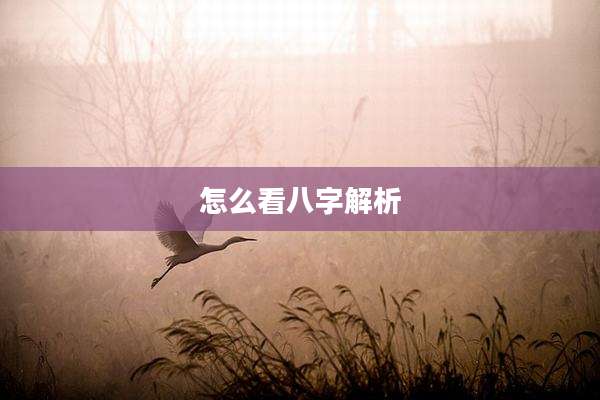 怎么看八字解析