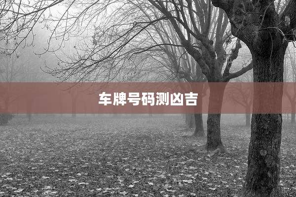车牌号码测凶吉