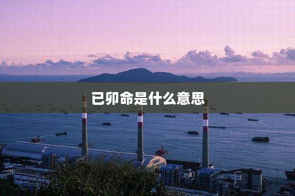 已卯命是什么意思