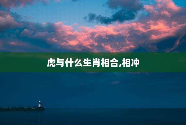 虎与什么生肖相合,相冲