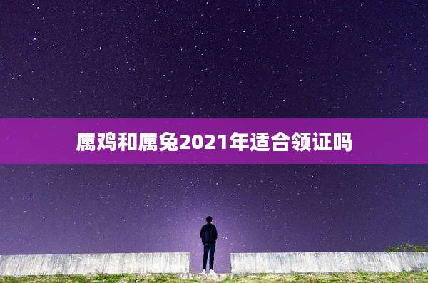 属鸡和属兔2021年适合领证吗