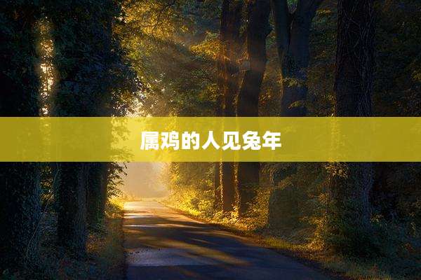 属鸡的人见兔年