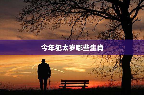 今年犯太岁哪些生肖