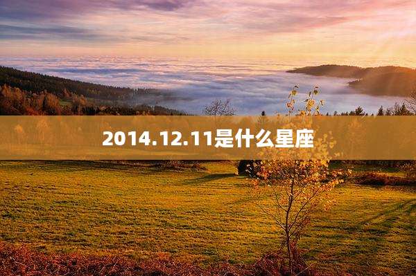 2014.12.11是什么星座
