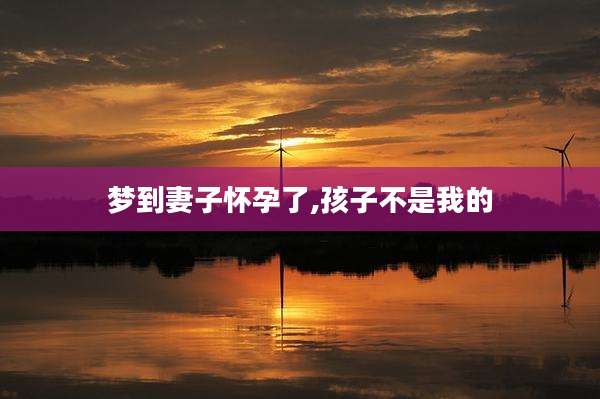 梦到妻子怀孕了,孩子不是我的