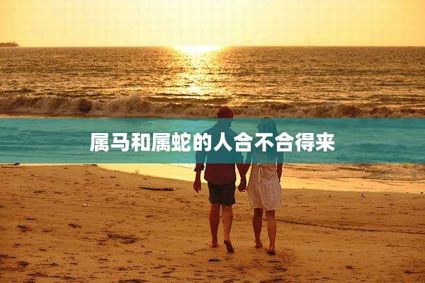 属马和属蛇的人合不合得来