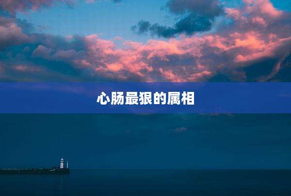 心肠最狠的属相