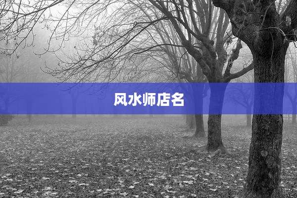 风水师店名