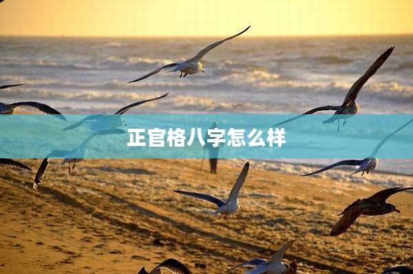正官格八字怎么样