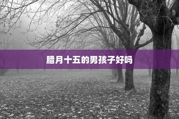 腊月十五的男孩子好吗